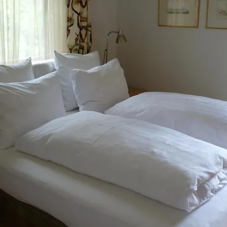 Haus Beatrice Apartment *