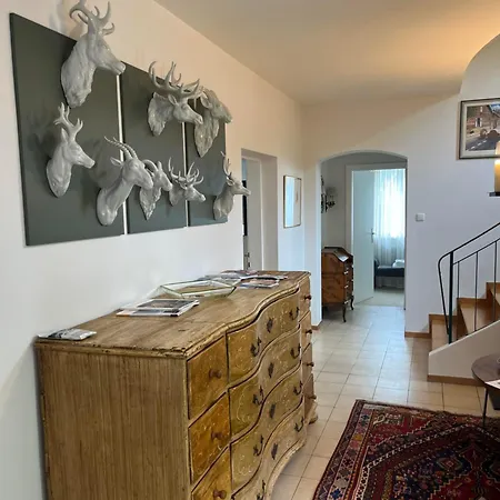 Haus Beatrice 아파트 키츠부헬