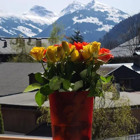 Apartment Haus Beatrice Kitzbuhel